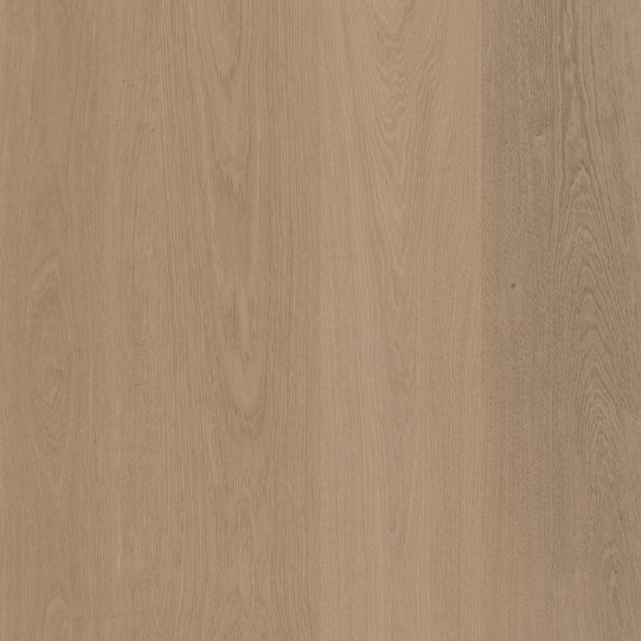 Carlotta - Villa Collection
