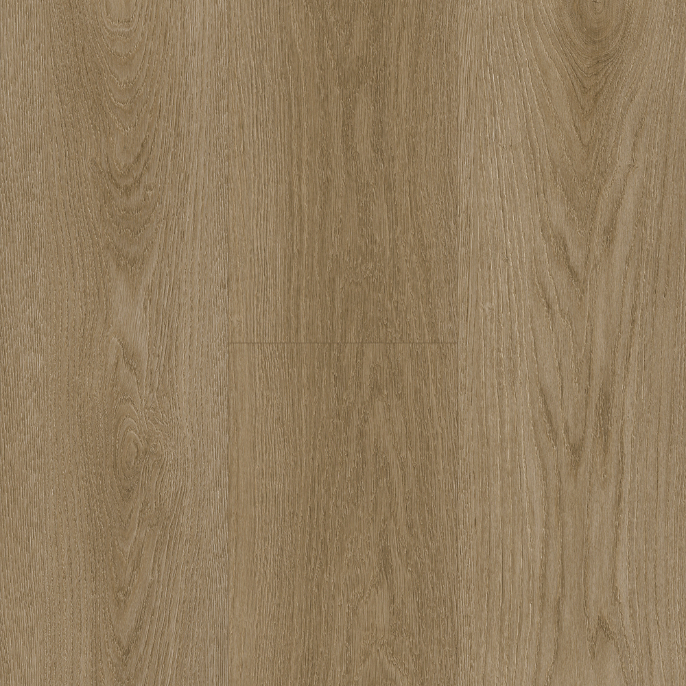 Prime Specimens Collection Spectacle Room Scene