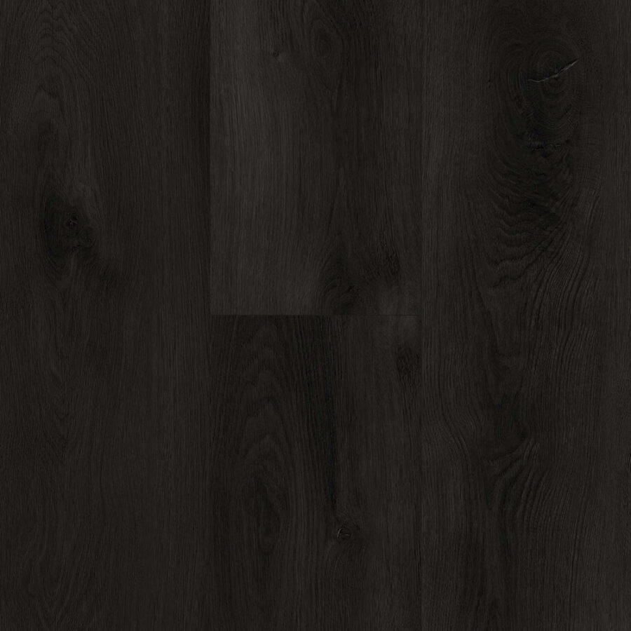 Prime Specimens Collection Tahoe Room Scene