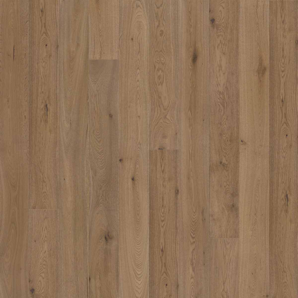 Depa - Image 3